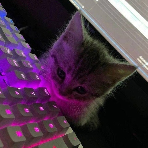 Данила Машнаков